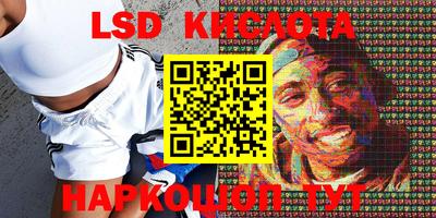 ПСИЛОЦИБИНОВЫЕ ГРИБЫ Можга