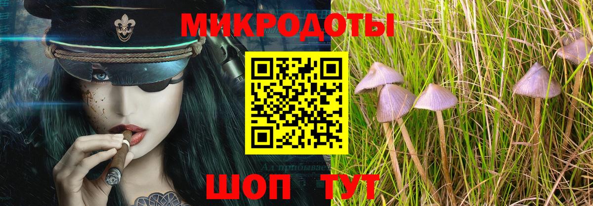Бутурлиновка  Псилоцибиновые грибы прущие грибы  Вход с VPN 