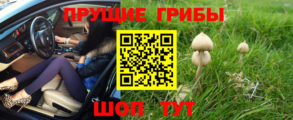 Псилоцибиновые грибы мухоморы Бутурлиновка